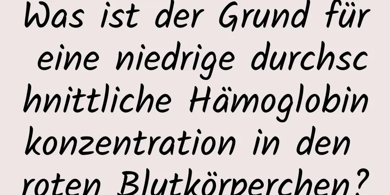 Was ist der Grund für eine niedrige durchschnittliche Hämoglobinkonzentration in den roten Blutkörperchen?