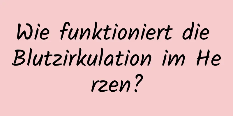 Wie funktioniert die Blutzirkulation im Herzen?