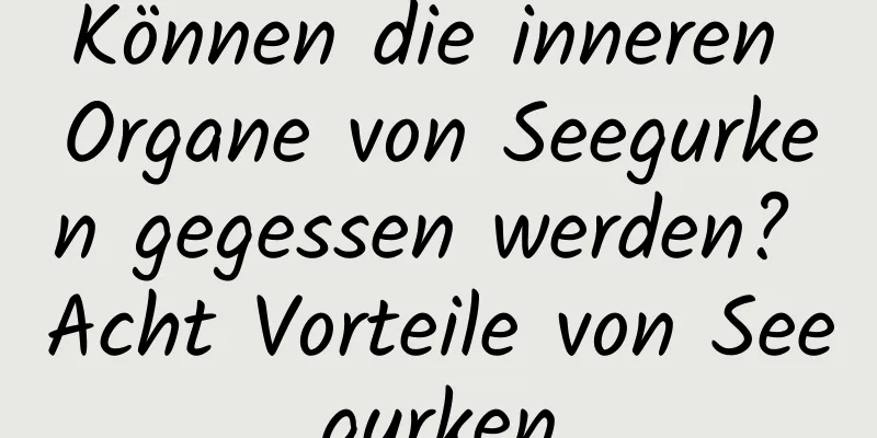 Können die inneren Organe von Seegurken gegessen werden? Acht Vorteile von Seegurken