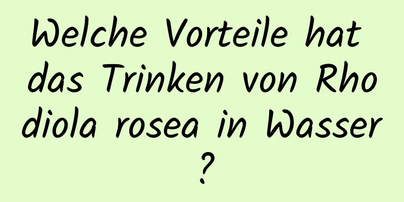 Welche Vorteile hat das Trinken von Rhodiola rosea in Wasser?