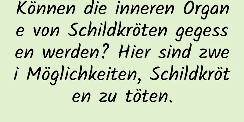 Können die inneren Organe von Schildkröten gegessen werden? Hier sind zwei Möglichkeiten, Schildkröten zu töten.