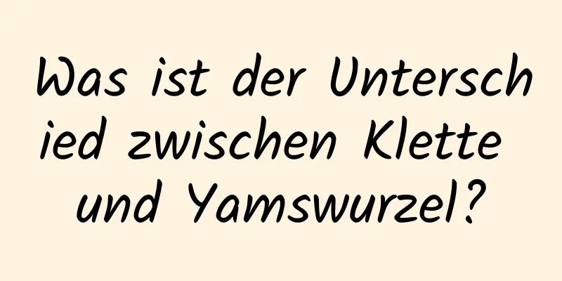 Was ist der Unterschied zwischen Klette und Yamswurzel?
