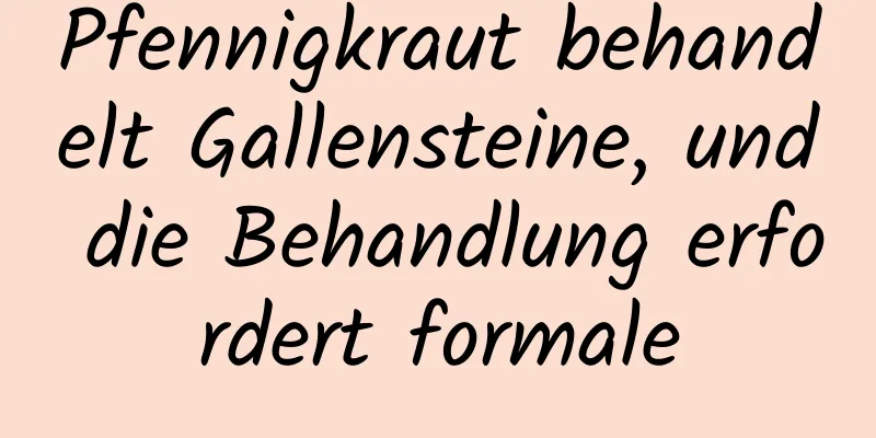 Pfennigkraut behandelt Gallensteine, und die Behandlung erfordert formale