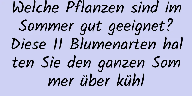 Welche Pflanzen sind im Sommer gut geeignet? Diese 11 Blumenarten halten Sie den ganzen Sommer über kühl