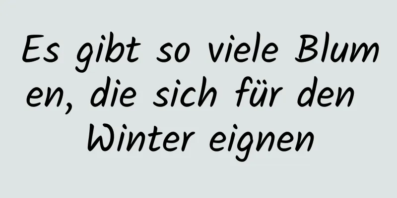 Es gibt so viele Blumen, die sich für den Winter eignen
