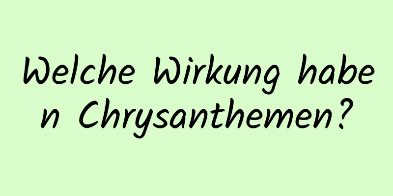 Welche Wirkung haben Chrysanthemen?