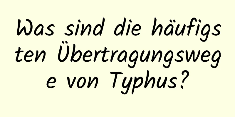 Was sind die häufigsten Übertragungswege von Typhus?