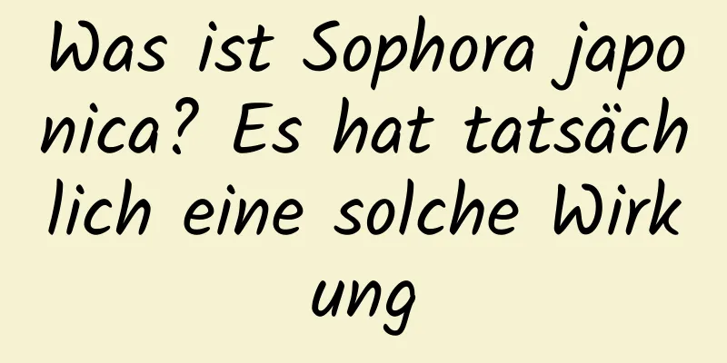 Was ist Sophora japonica? Es hat tatsächlich eine solche Wirkung