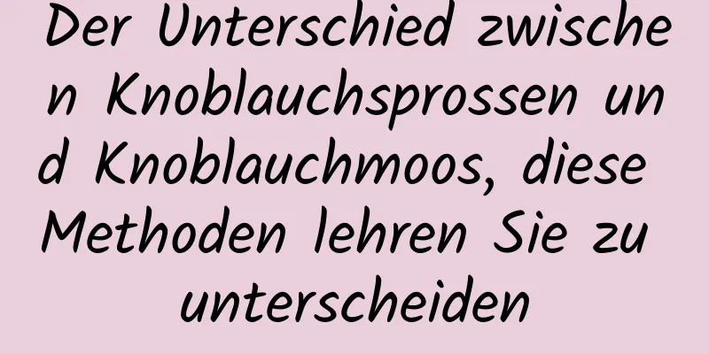 Der Unterschied zwischen Knoblauchsprossen und Knoblauchmoos, diese Methoden lehren Sie zu unterscheiden