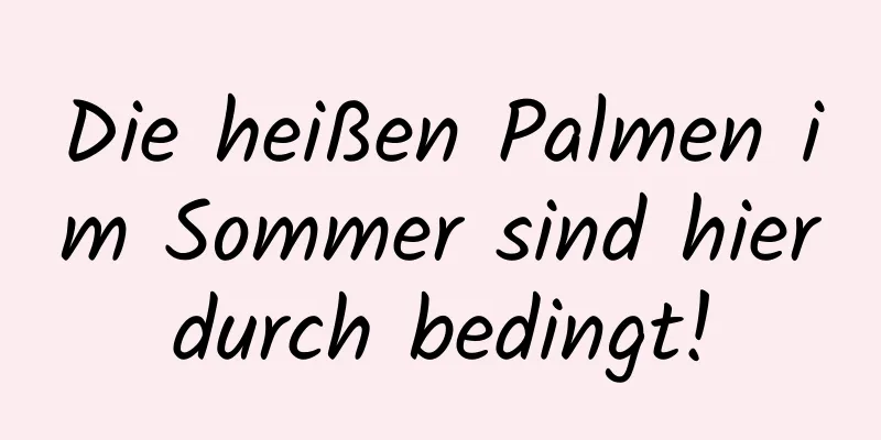 Die heißen Palmen im Sommer sind hierdurch bedingt!