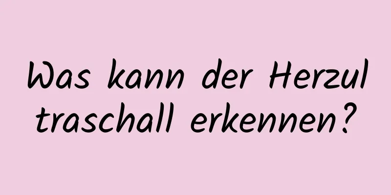 Was kann der Herzultraschall erkennen?