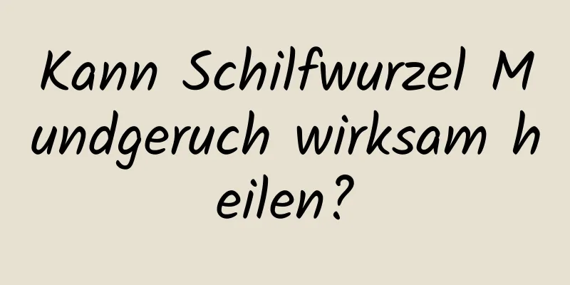 Kann Schilfwurzel Mundgeruch wirksam heilen?