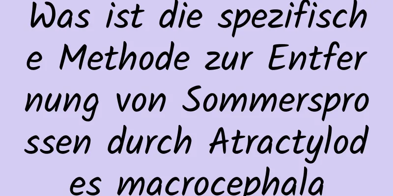 Was ist die spezifische Methode zur Entfernung von Sommersprossen durch Atractylodes macrocephala