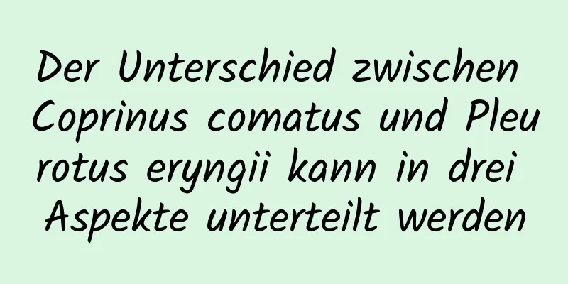 Der Unterschied zwischen Coprinus comatus und Pleurotus eryngii kann in drei Aspekte unterteilt werden