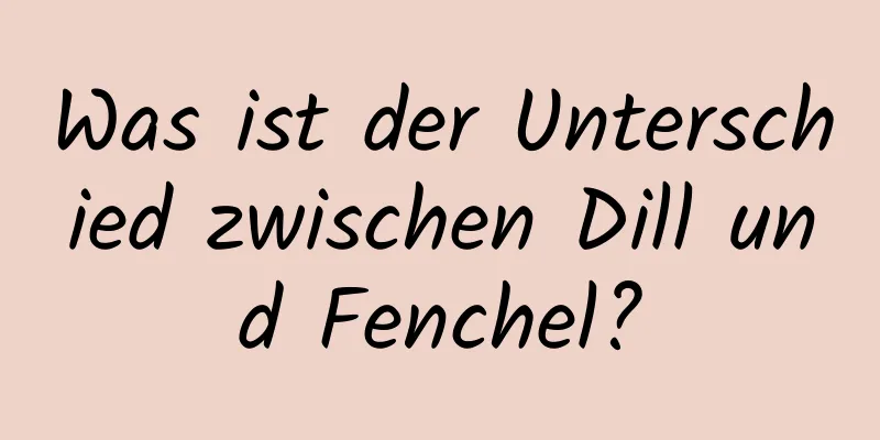Was ist der Unterschied zwischen Dill und Fenchel?