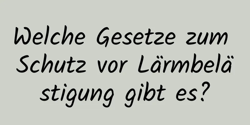 Welche Gesetze zum Schutz vor Lärmbelästigung gibt es?