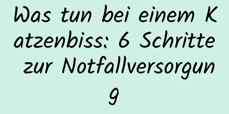 Was tun bei einem Katzenbiss: 6 Schritte zur Notfallversorgung