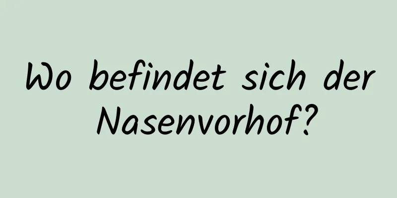 Wo befindet sich der Nasenvorhof?