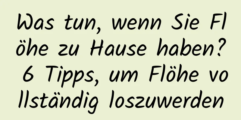 Was tun, wenn Sie Flöhe zu Hause haben? 6 Tipps, um Flöhe vollständig loszuwerden