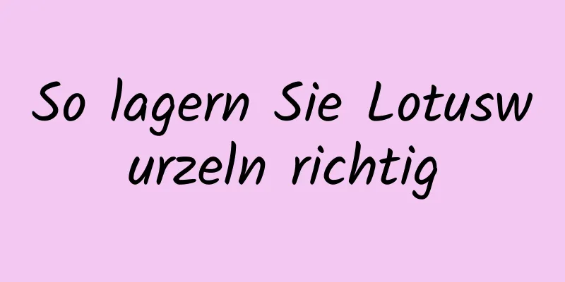 So lagern Sie Lotuswurzeln richtig