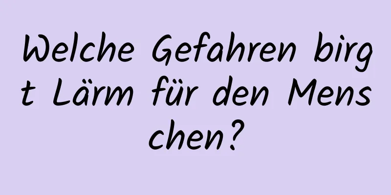 Welche Gefahren birgt Lärm für den Menschen?