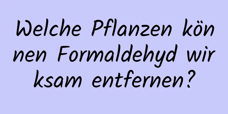 Welche Pflanzen können Formaldehyd wirksam entfernen?