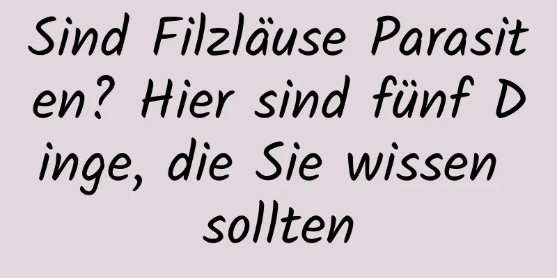 Sind Filzläuse Parasiten? Hier sind fünf Dinge, die Sie wissen sollten