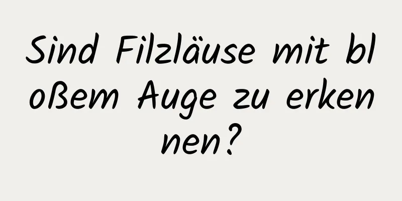 Sind Filzläuse mit bloßem Auge zu erkennen?
