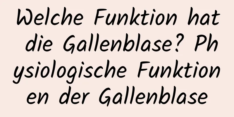 Welche Funktion hat die Gallenblase? Physiologische Funktionen der Gallenblase