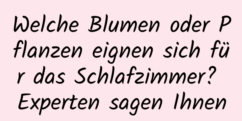Welche Blumen oder Pflanzen eignen sich für das Schlafzimmer? Experten sagen Ihnen