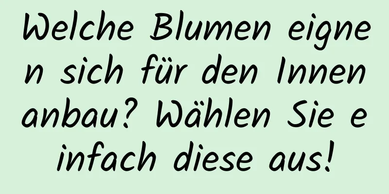 Welche Blumen eignen sich für den Innenanbau? Wählen Sie einfach diese aus!