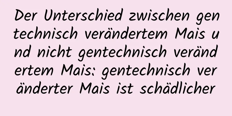 Der Unterschied zwischen gentechnisch verändertem Mais und nicht gentechnisch verändertem Mais: gentechnisch veränderter Mais ist schädlicher