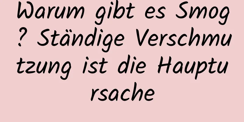 Warum gibt es Smog? Ständige Verschmutzung ist die Hauptursache