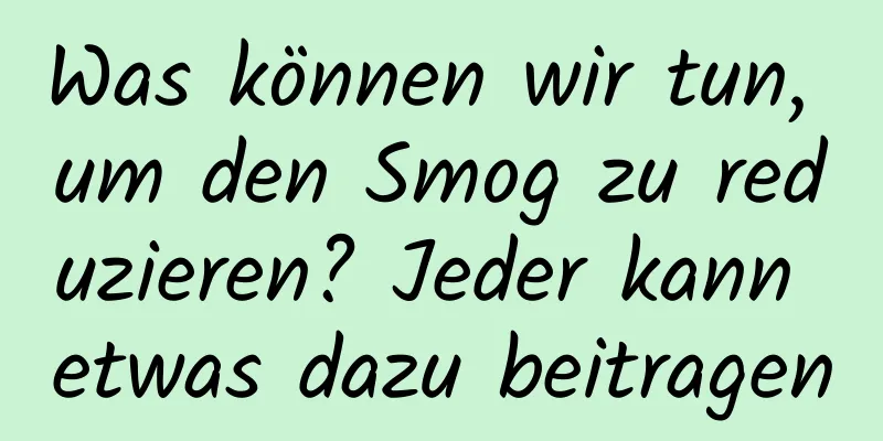 Was können wir tun, um den Smog zu reduzieren? Jeder kann etwas dazu beitragen