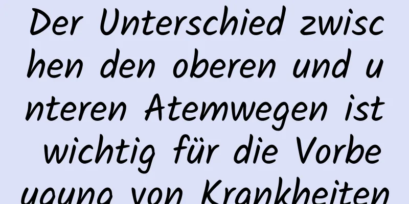 Der Unterschied zwischen den oberen und unteren Atemwegen ist wichtig für die Vorbeugung von Krankheiten