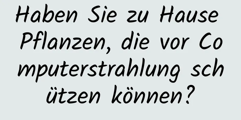 Haben Sie zu Hause Pflanzen, die vor Computerstrahlung schützen können?