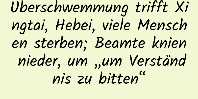 Überschwemmung trifft Xingtai, Hebei, viele Menschen sterben; Beamte knien nieder, um „um Verständnis zu bitten“