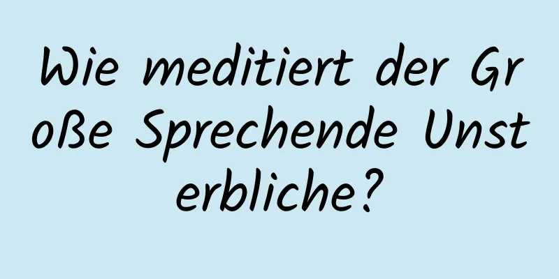 Wie meditiert der Große Sprechende Unsterbliche?