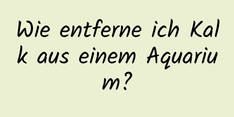 Wie entferne ich Kalk aus einem Aquarium?
