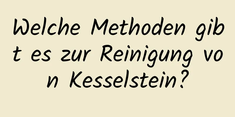Welche Methoden gibt es zur Reinigung von Kesselstein?