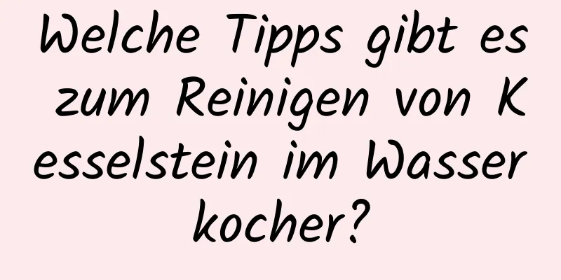 Welche Tipps gibt es zum Reinigen von Kesselstein im Wasserkocher?