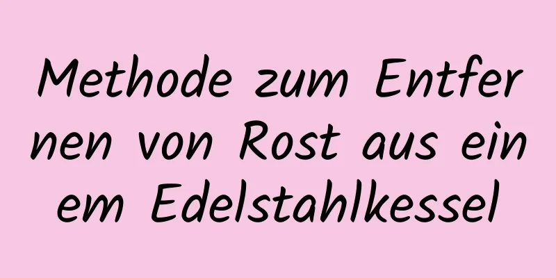 Methode zum Entfernen von Rost aus einem Edelstahlkessel