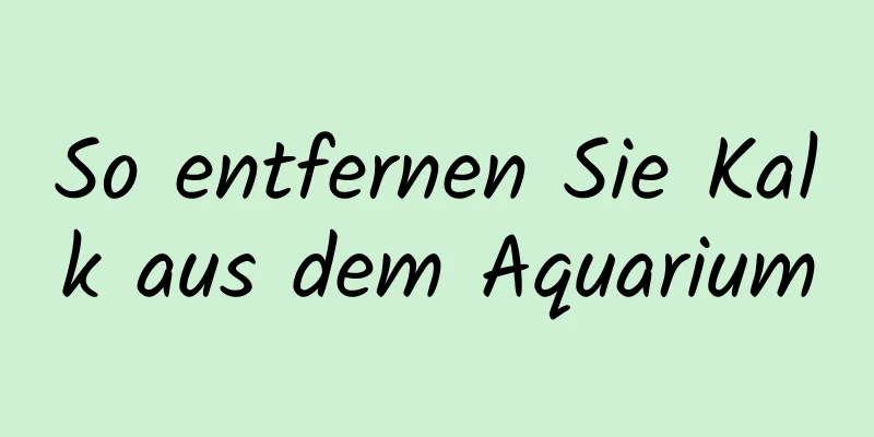 So entfernen Sie Kalk aus dem Aquarium