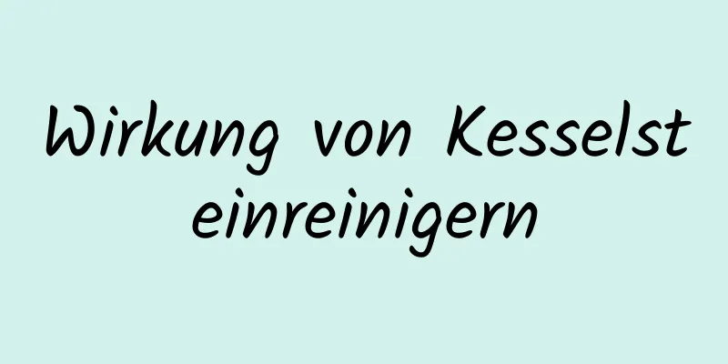 Wirkung von Kesselsteinreinigern