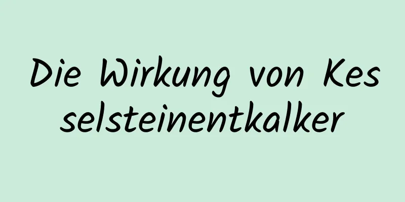 Die Wirkung von Kesselsteinentkalker