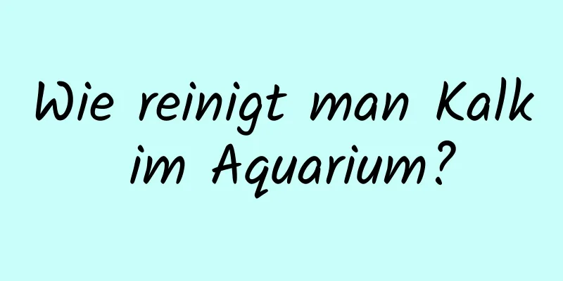 Wie reinigt man Kalk im Aquarium?