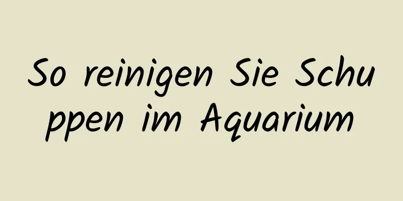 So reinigen Sie Schuppen im Aquarium
