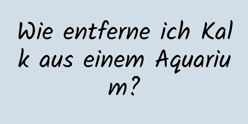 Wie entferne ich Kalk aus einem Aquarium?
