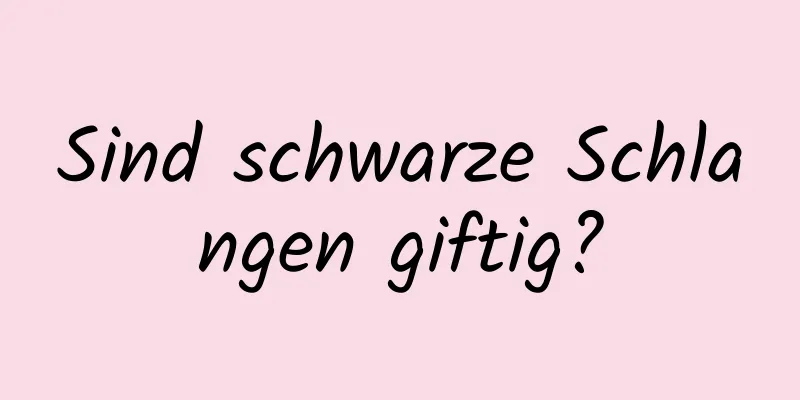 Sind schwarze Schlangen giftig?