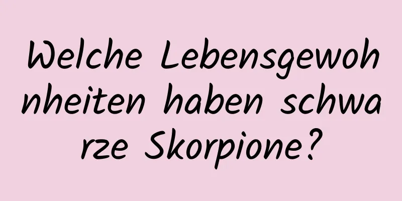 Welche Lebensgewohnheiten haben schwarze Skorpione?